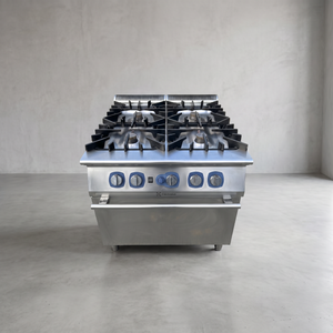 Electrolux 700XP 4-Burner Gas Range with Oven